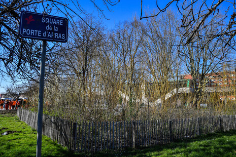 Micro-forêt urbaine à Lille ©Rapaich Daniel