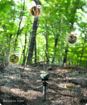 Enregistreur automatique des sons de la biodiversité. Birdweather
