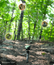 Enregistreur automatique des sons de la biodiversité. Birdweather