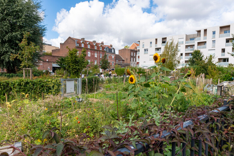 ©Daniel Rapaich Dicom ville de Lille