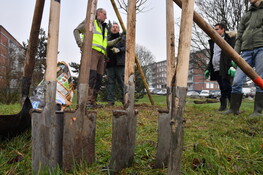 (C) Daniel RAPAICH - Dicom Ville de Lille - 22 01 2020
