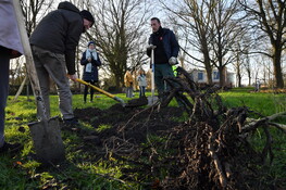 (C) Daniel RAPAICH - Dicom Ville de Lille - 29 01 2020