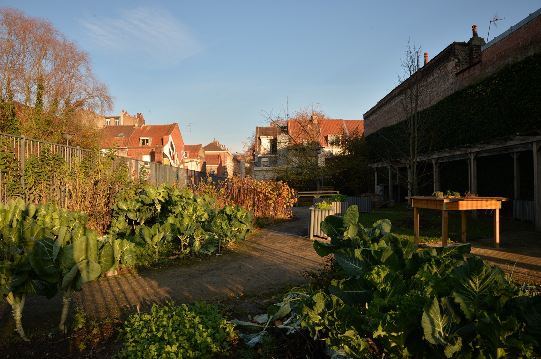 Les Jardins Familiaux Faites De Lille Votre Jardin Nature A Lille Www Lille Fr Nature A Lille