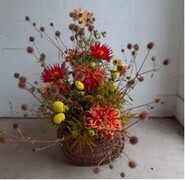 dahlia evnt decor dahlia evnt decor