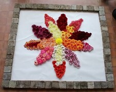 dahlia fleurs fannees dahlia fleurs fannees