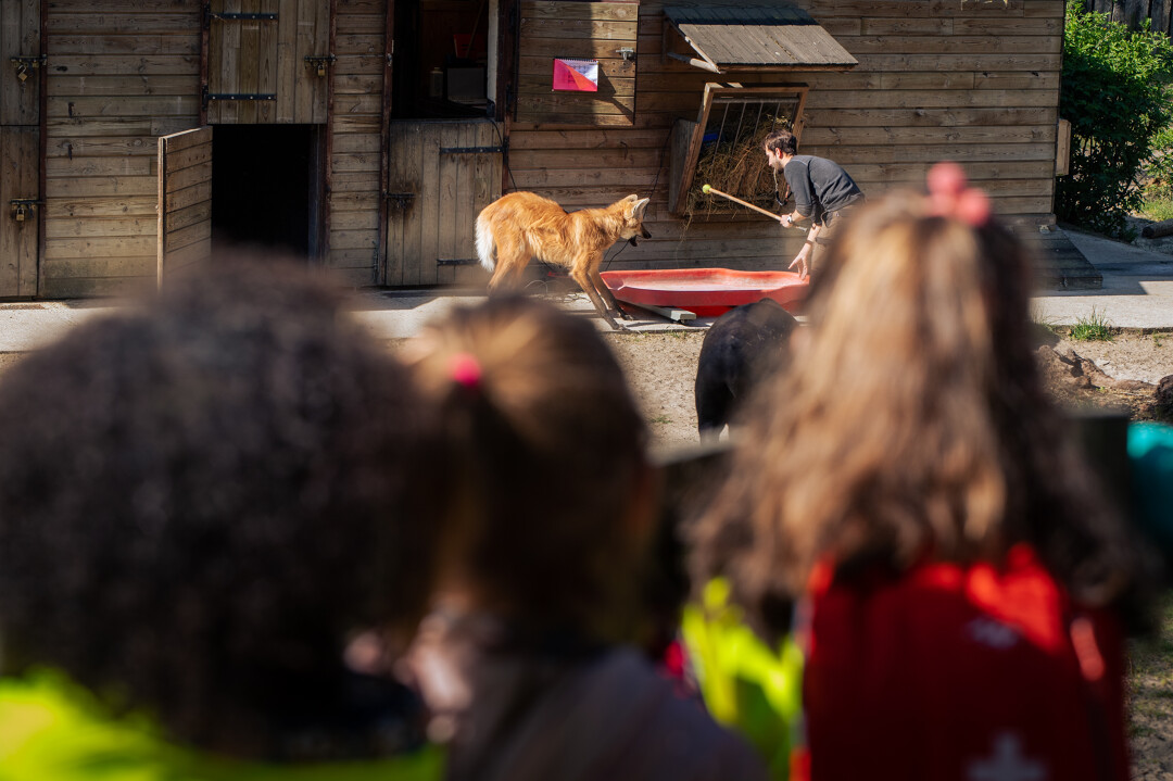 Les formulaires de visite libre pour les groupes / Préparez votre visite / Zoo de Lille www