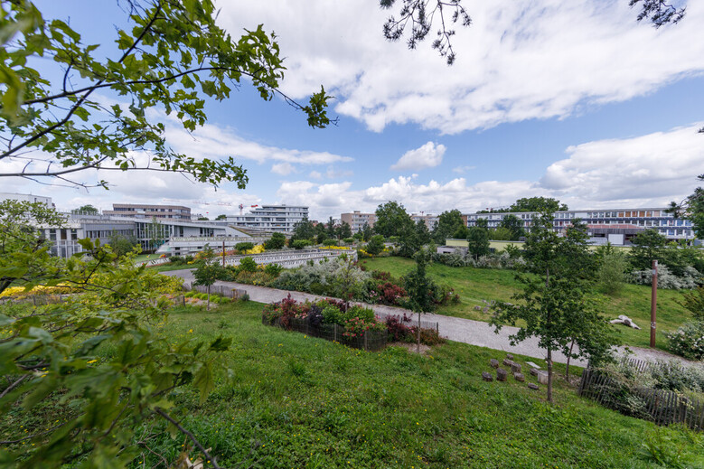 parc grand sud