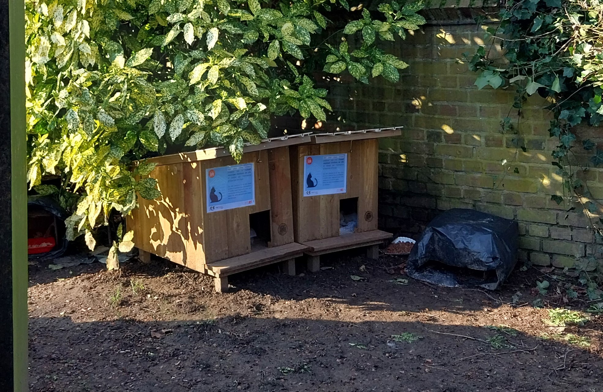 Installation D un Abri Pour Chats Errants Dans Le Parc Barberousse installation-d-un-abri-pour-chats-errants-dans-le-parc-barberousse