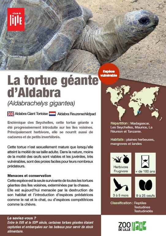 Fiche aldabra