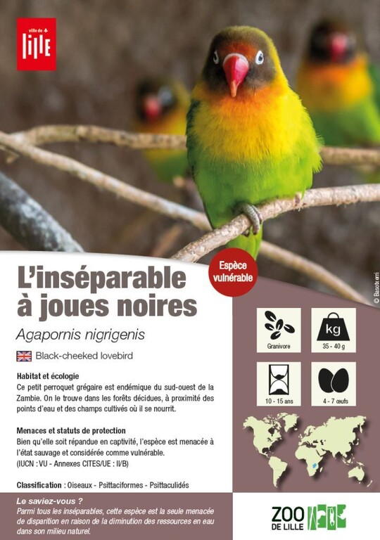 fiche inseparable