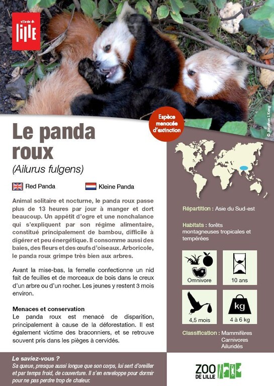 Fiche panda