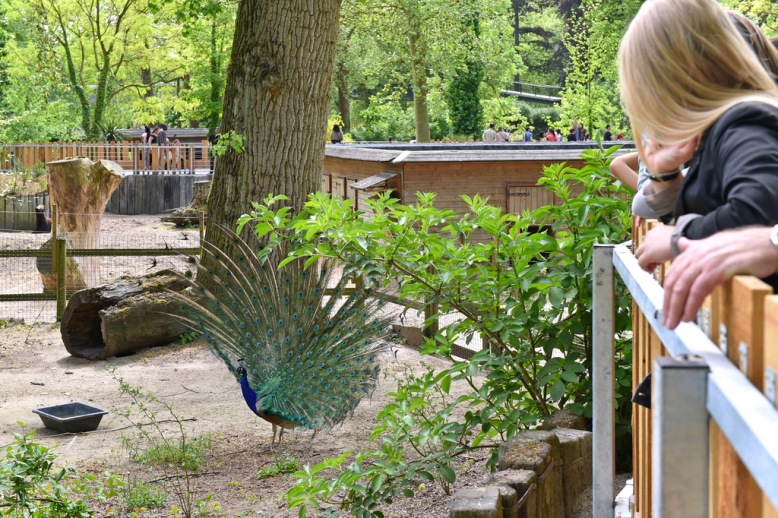 Venir au zoo / Préparer votre visite / Zoo de Lille www.lille.fr/ZoodeLille