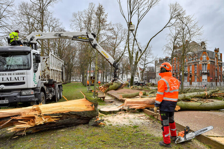 Les dégâts provoqués à Lille par la tempête en 2022