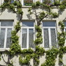 Façade végétalisée