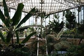 serre jardin des plantes